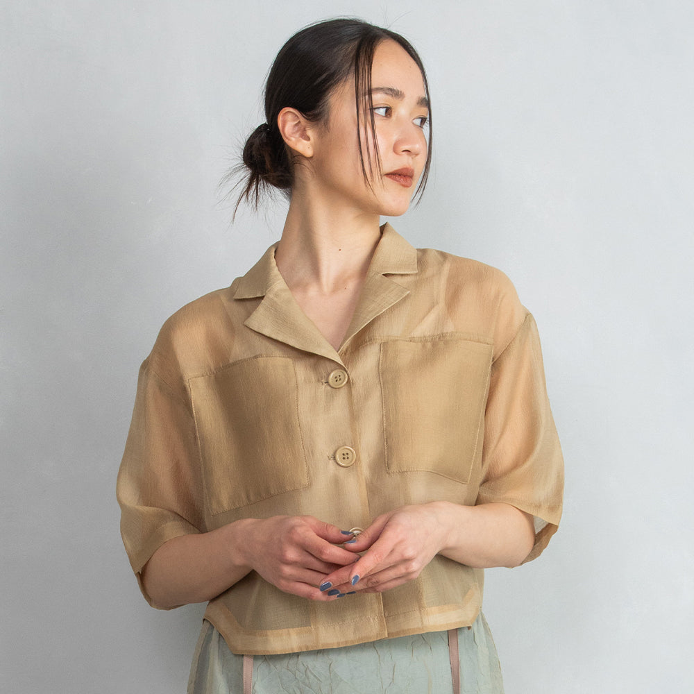 Sheer Shirt