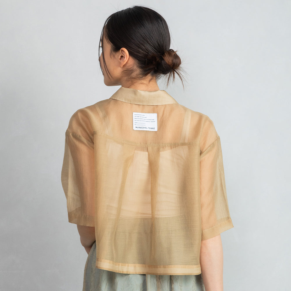 Sheer Shirt