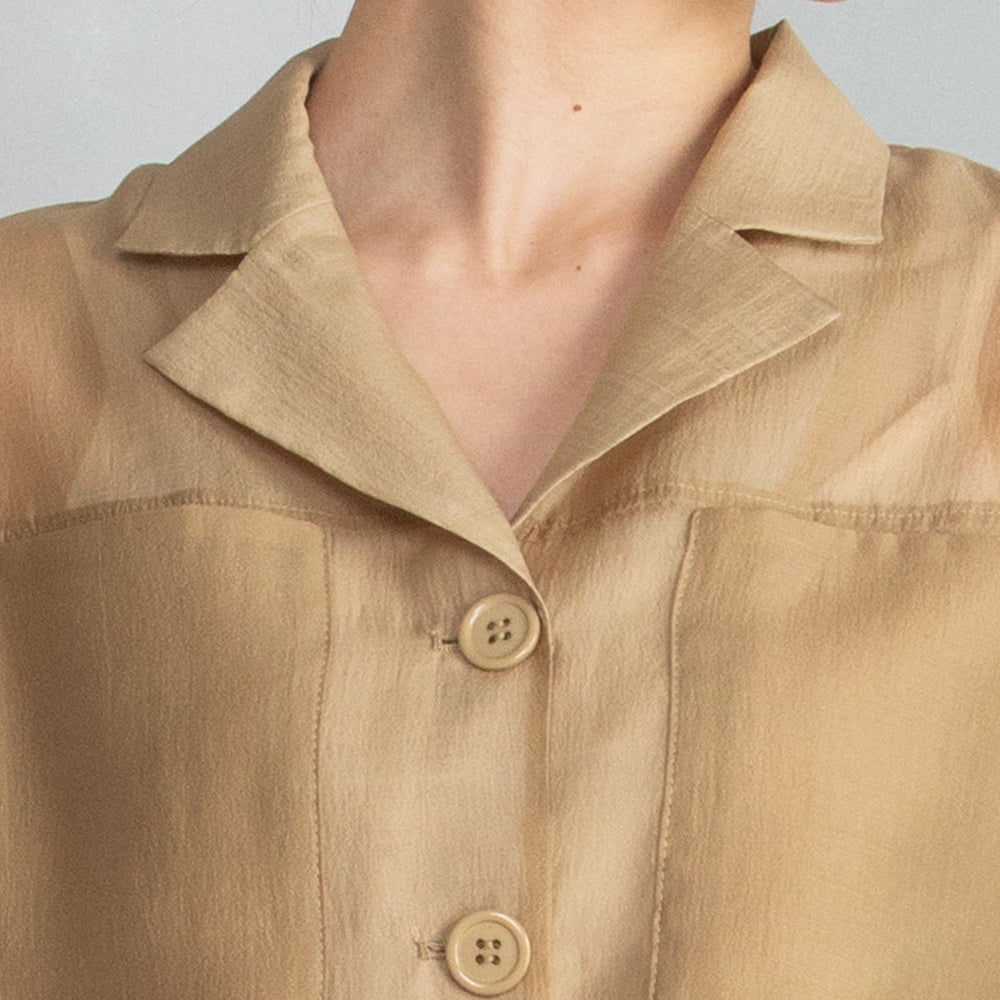 Sheer Shirt