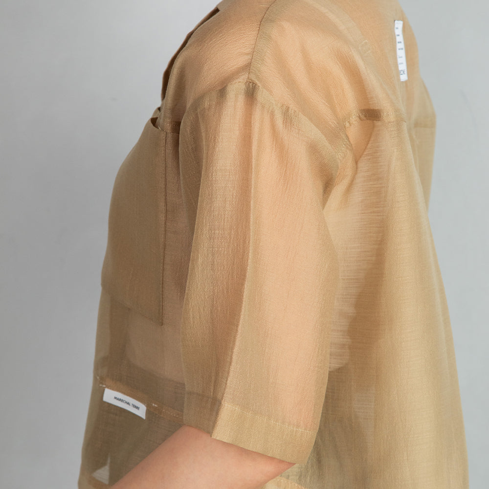 Sheer Shirt
